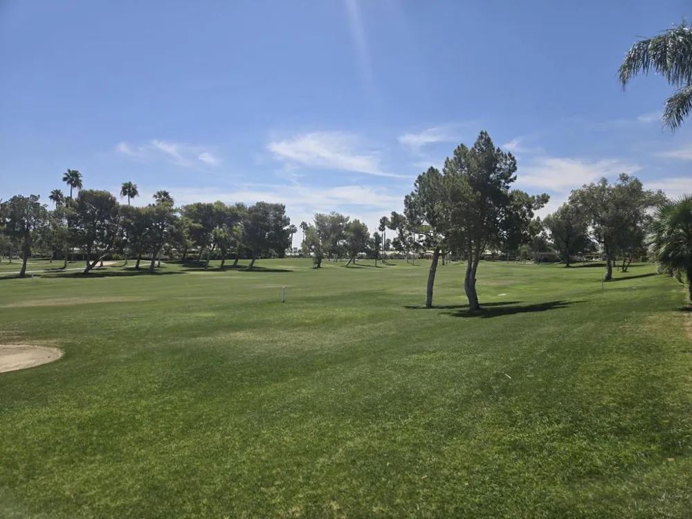 29234 W Laguna Drive Cathedral City, CA 92234