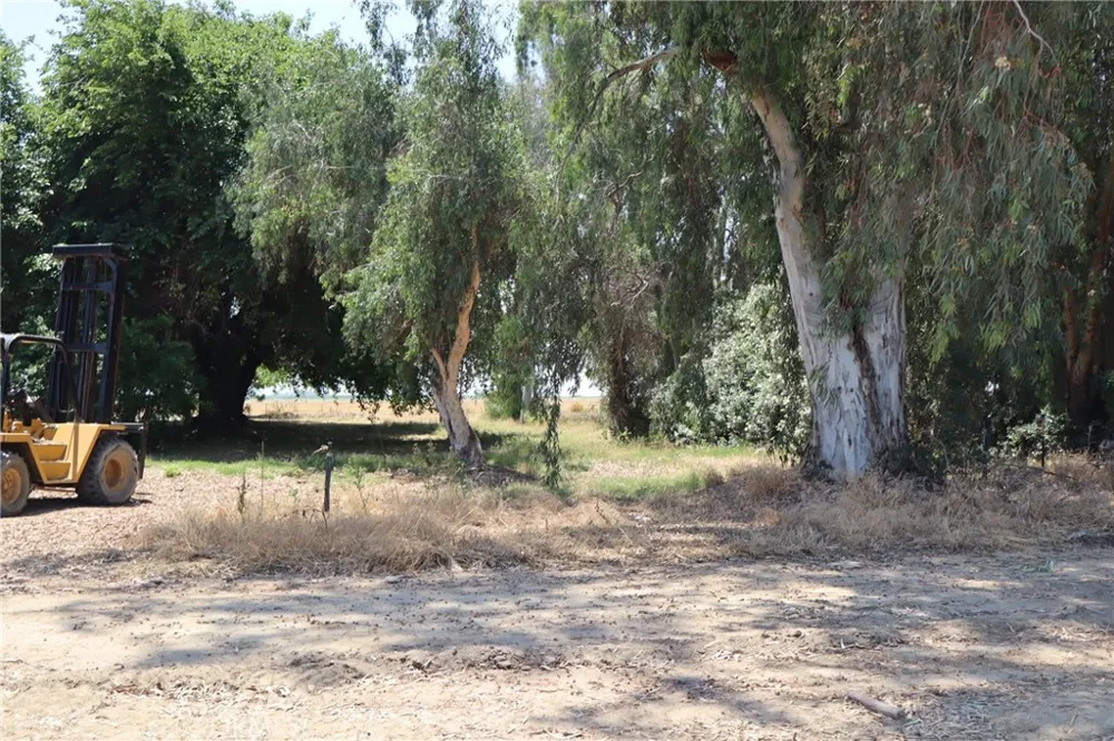 10654 Avenue 104 Pixley, CA 93256