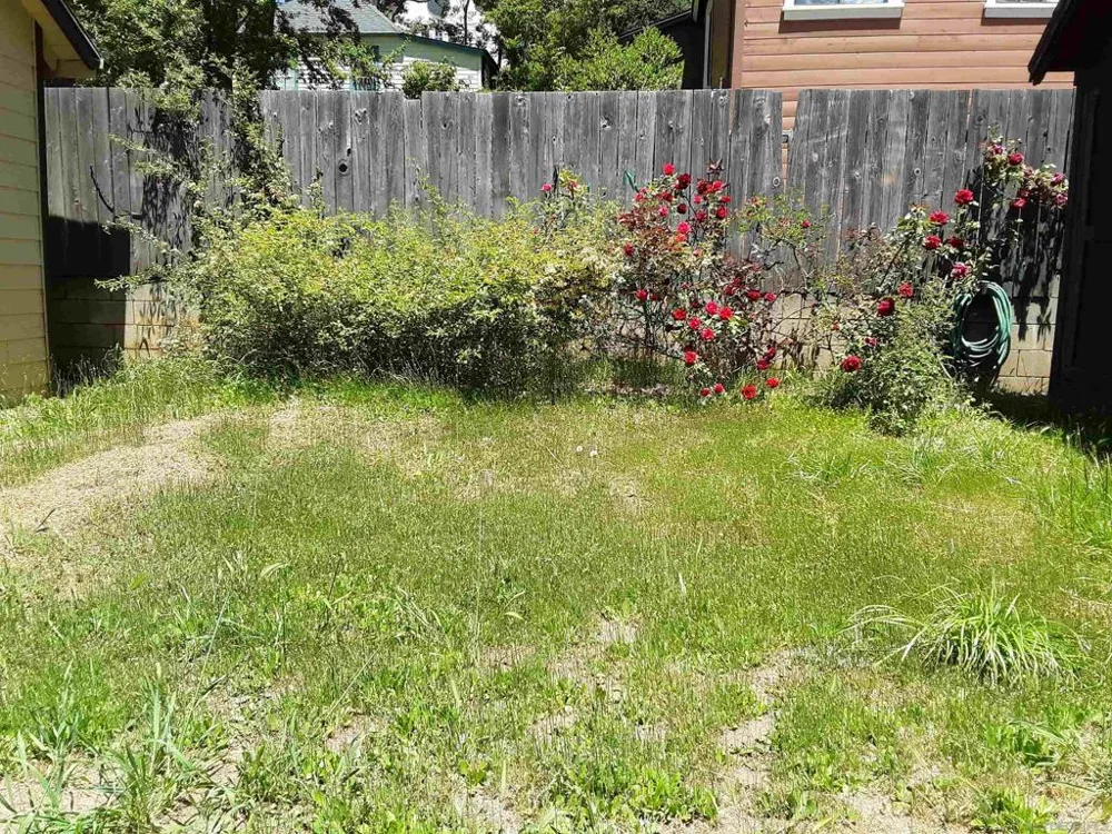 2617 C St Julian, CA 92036