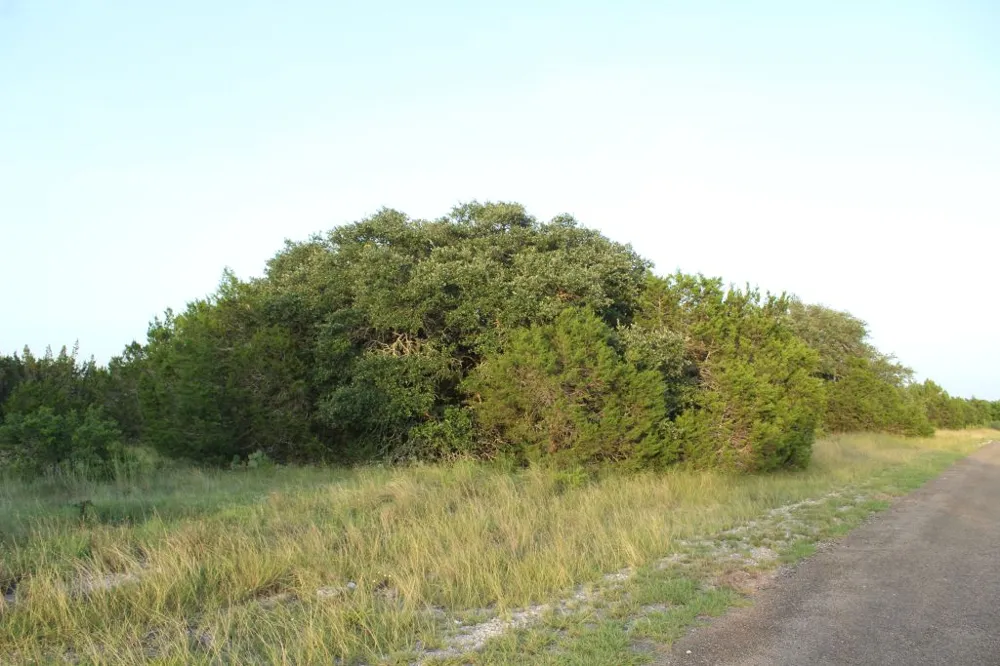 194 Whitewater Drive Drive Bertram, TX 78605
