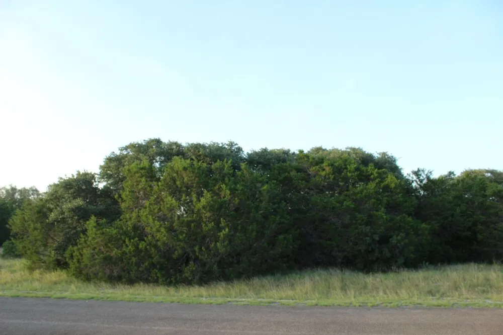 194 Whitewater Drive Drive Bertram, TX 78605