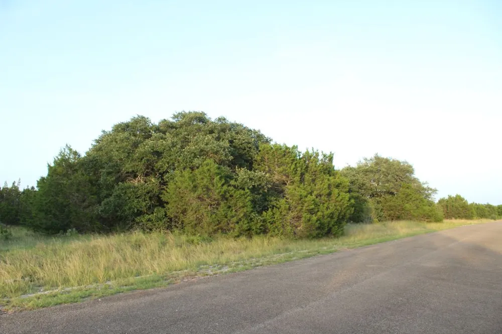 194 Whitewater Drive Drive Bertram, TX 78605