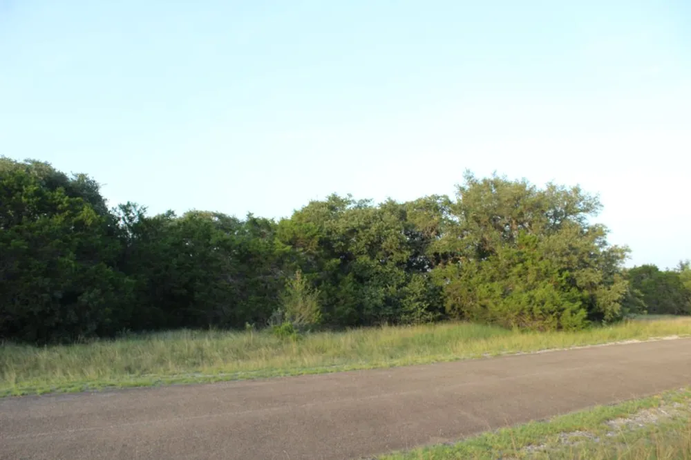 194 Whitewater Drive Drive Bertram, TX 78605