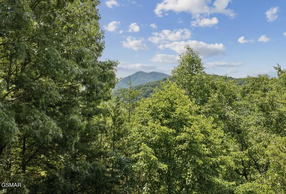 3855 Millers Ridge Way Sevierville, TN 37862