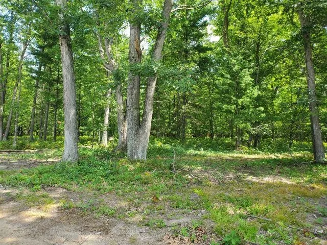 Turtle Lake Road Mills Township, MI 48756