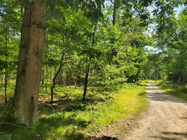Turtle Lake Road Mills Township, MI 48756