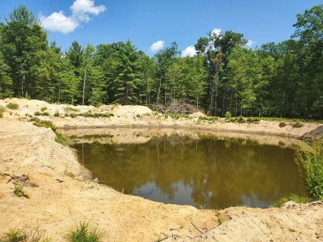 Turtle Lake Road Mills Township, MI 48756