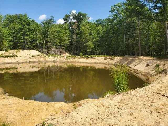 Turtle Lake Road Mills Township, MI 48756