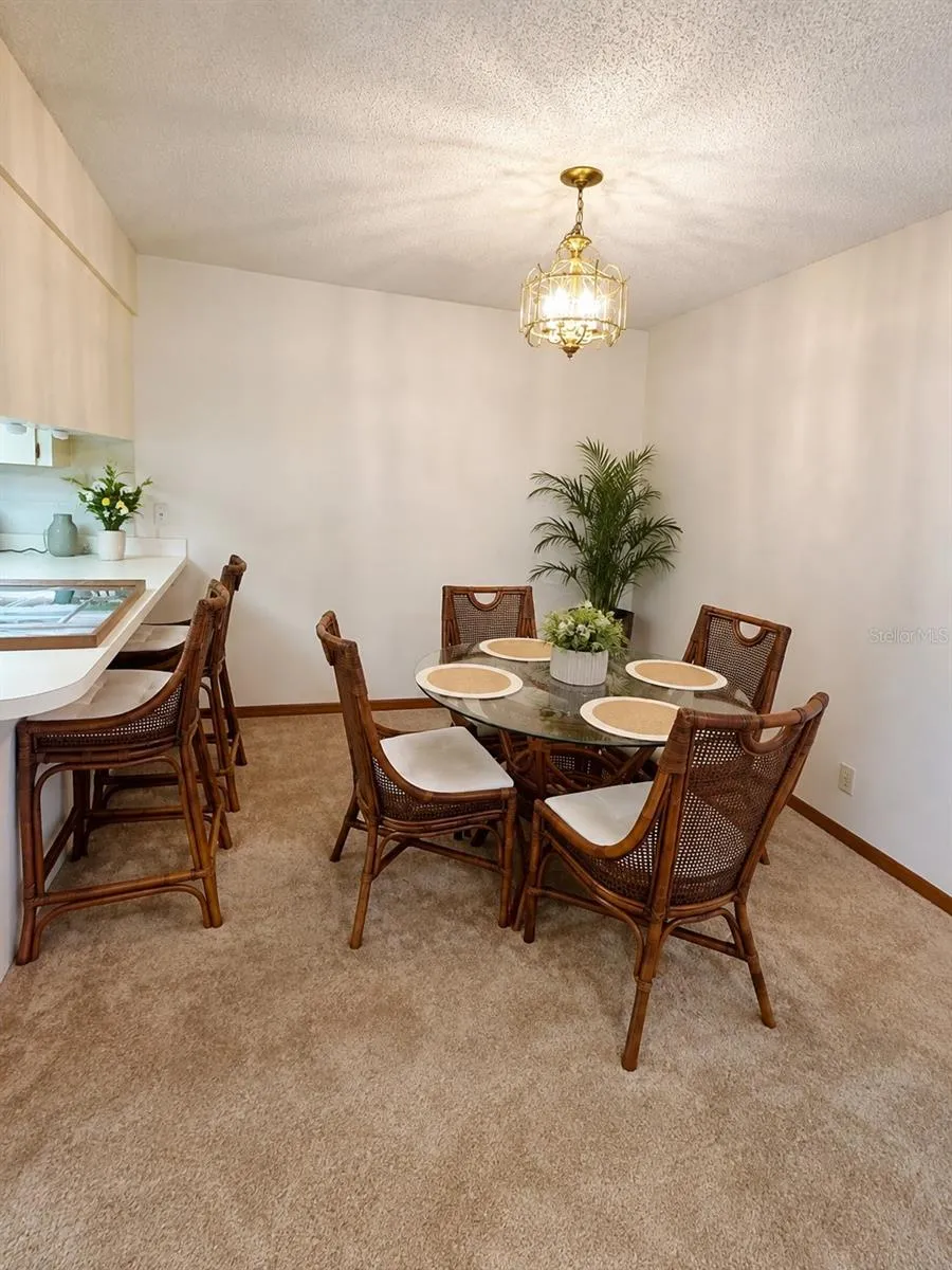 3800 E SILVER SPRINGS BOULEVARD #8 ocala, FL 34470