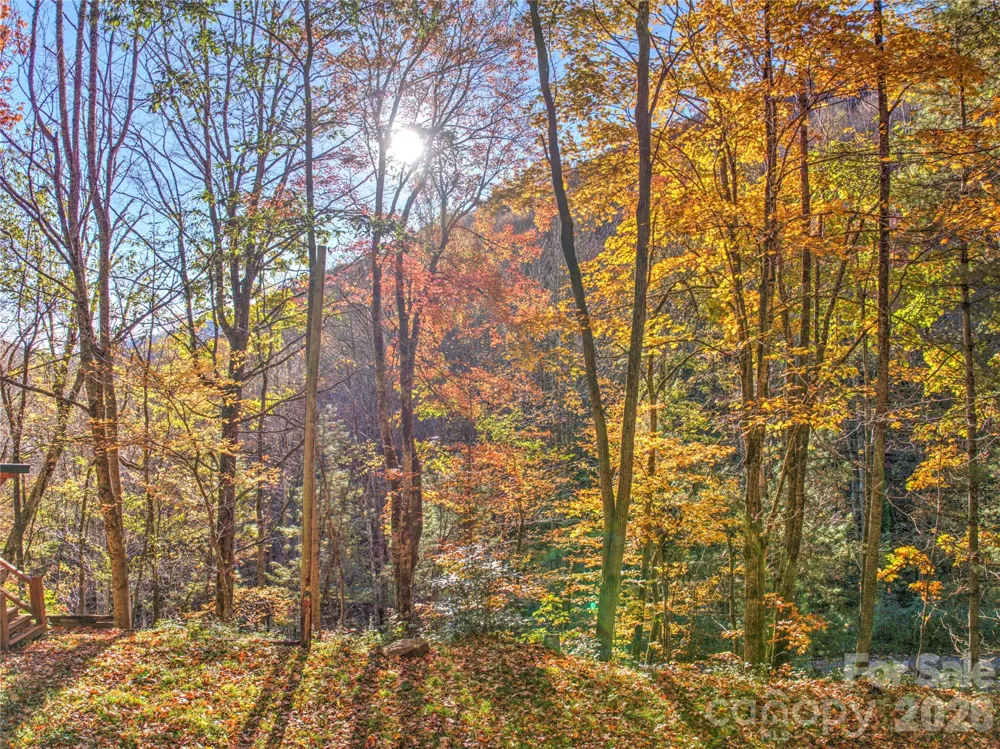 430 Long Branch Road Maggie Valley, NC 28751