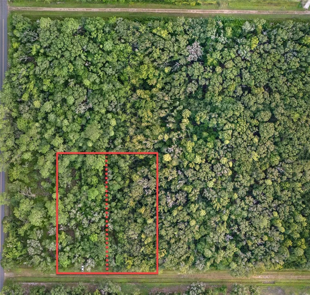 4715 ALVIN STREET Hastings, FL 32145