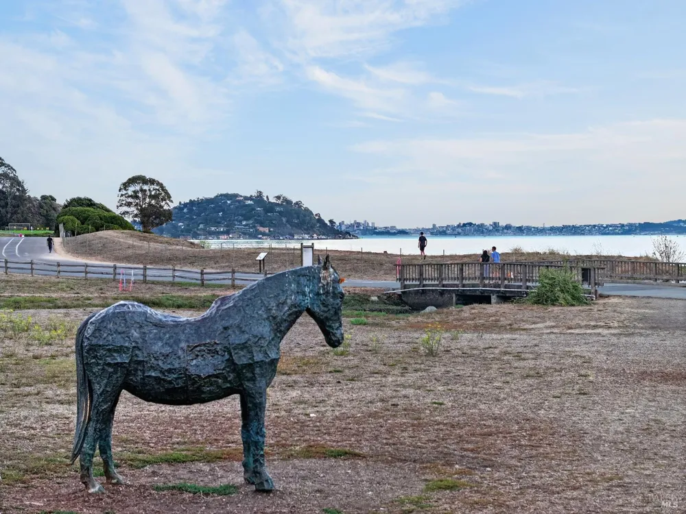 283 Cecilia Way Tiburon, CA 94920
