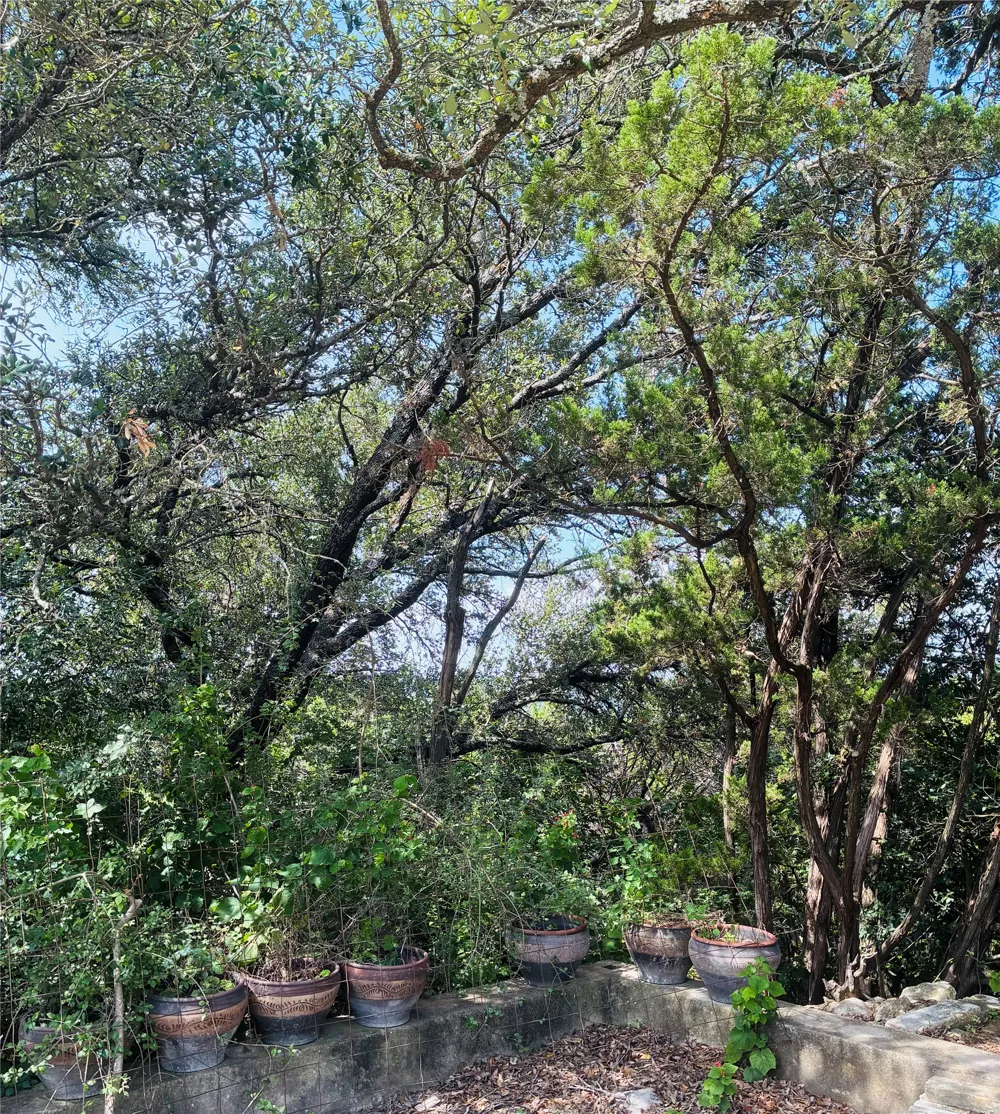10412 Double Spur Loop Austin, TX 78759