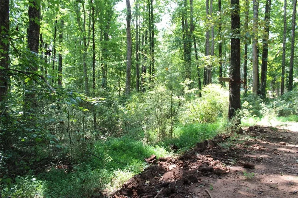 3575 Pleasant Grove Road Cumming, GA 30028