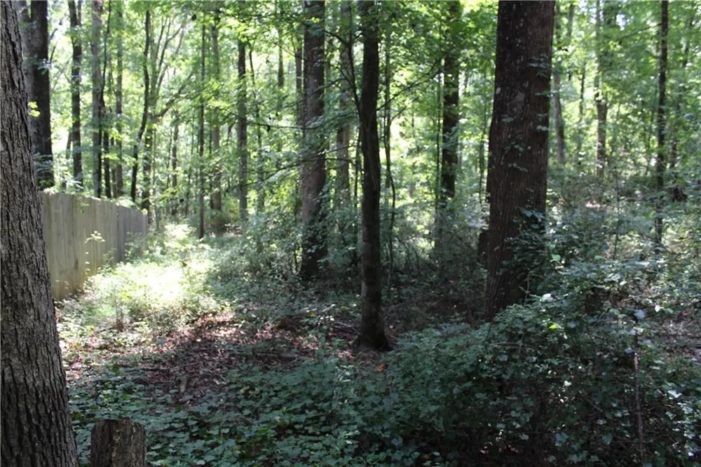 3575 Pleasant Grove Road Cumming, GA 30028