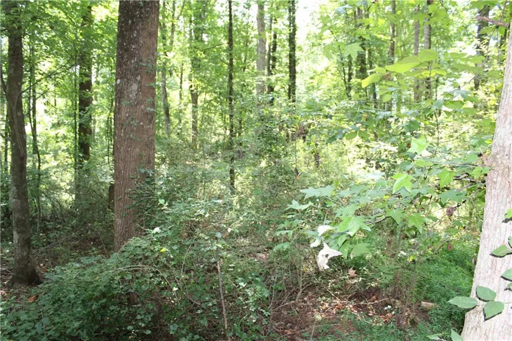 3575 Pleasant Grove Road Cumming, GA 30028