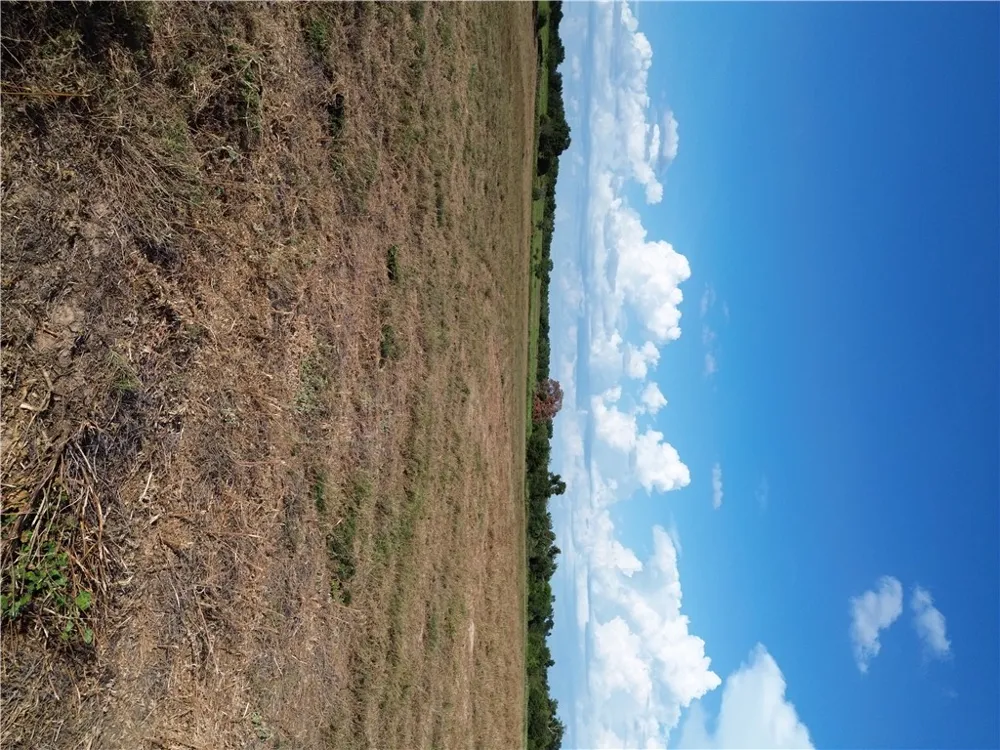 Grant Prairie Franklin, TX 77856