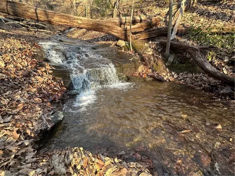 1649 Moss Patch Trail