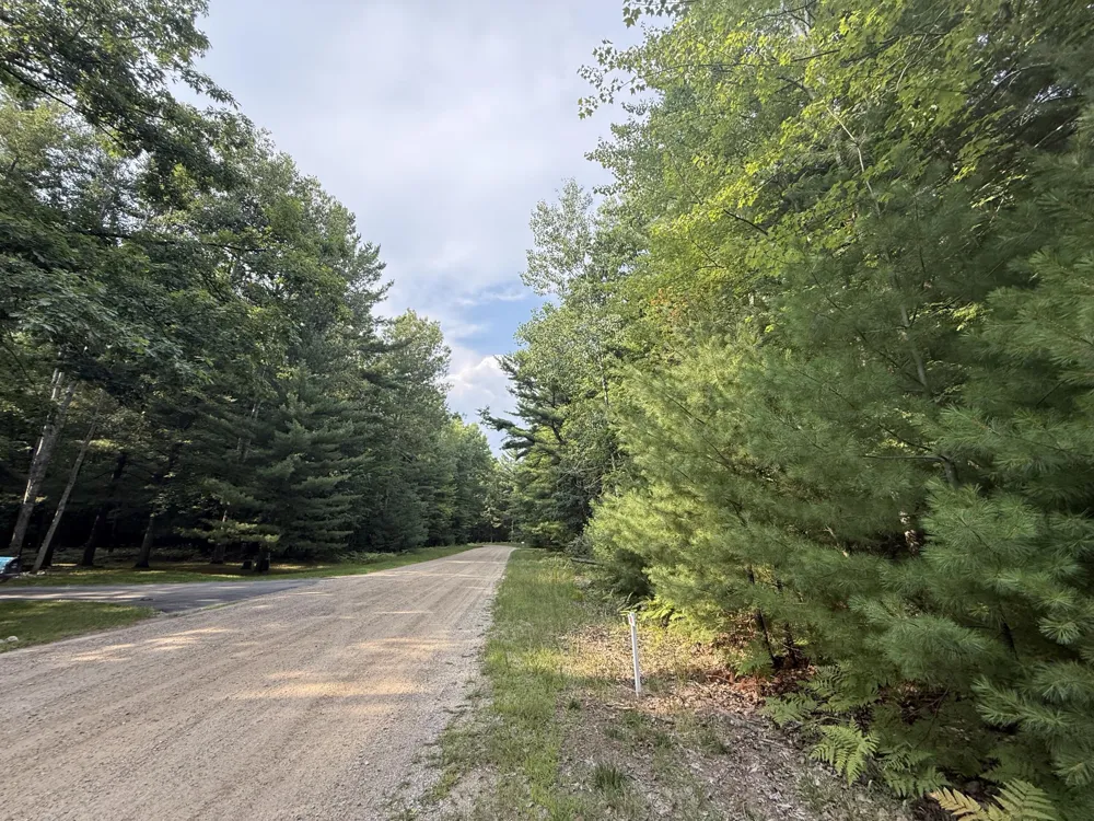 6842 White Pine Drive Stanwood, MI 49346