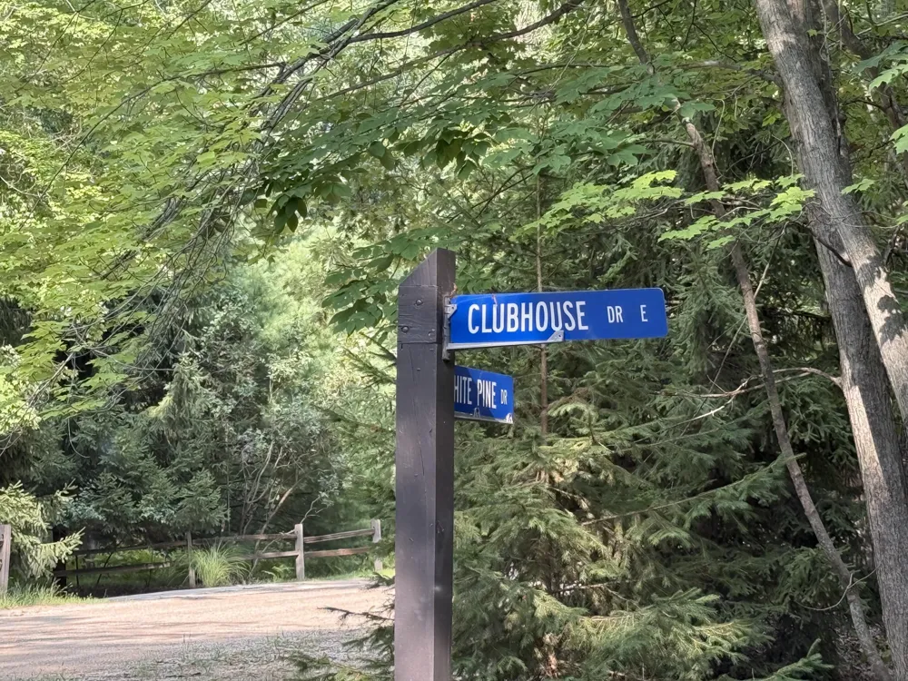 6842 White Pine Drive Stanwood, MI 49346