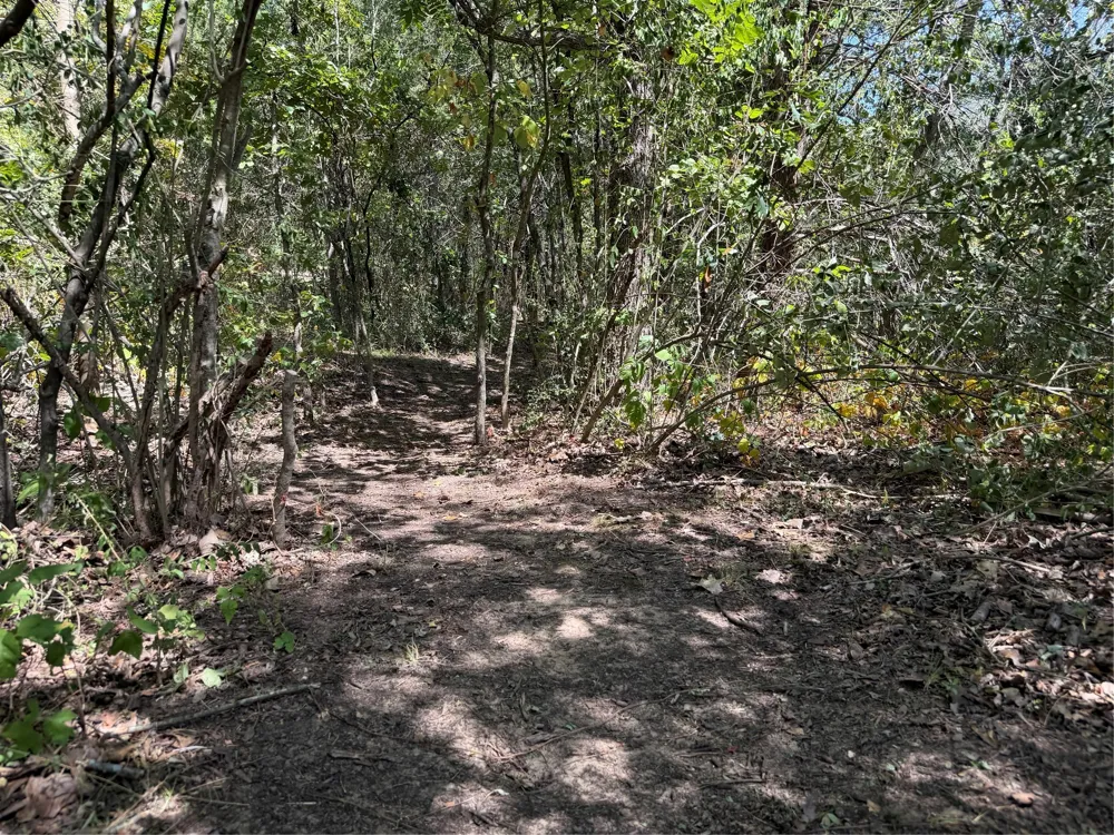 2008 S Lang Avenue Denison, TX 75020
