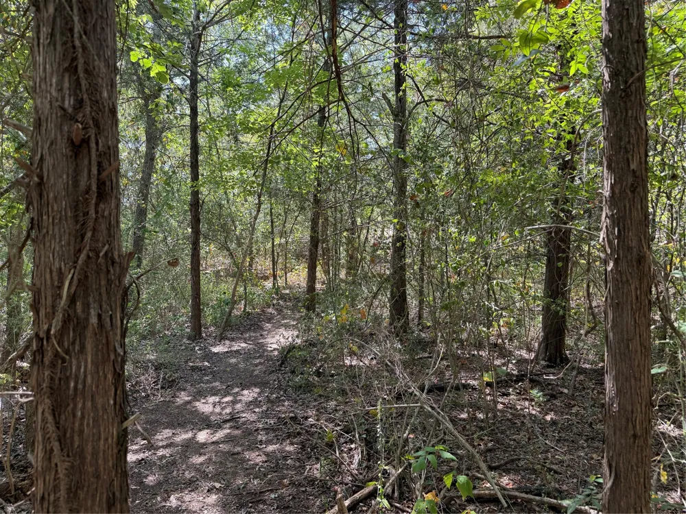 2008 S Lang Avenue Denison, TX 75020