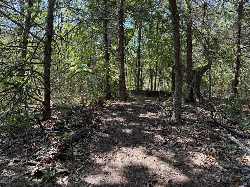 2008 S Lang Avenue Denison, TX 75020