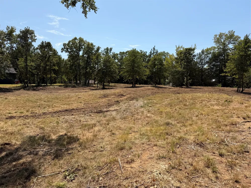 2008 S Lang Avenue Denison, TX 75020