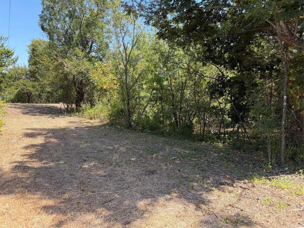 2008 S Lang Avenue Denison, TX 75020