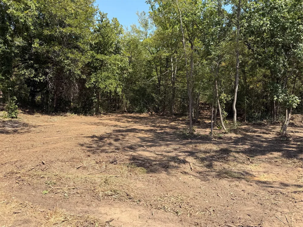 2008 S Lang Avenue Denison, TX 75020