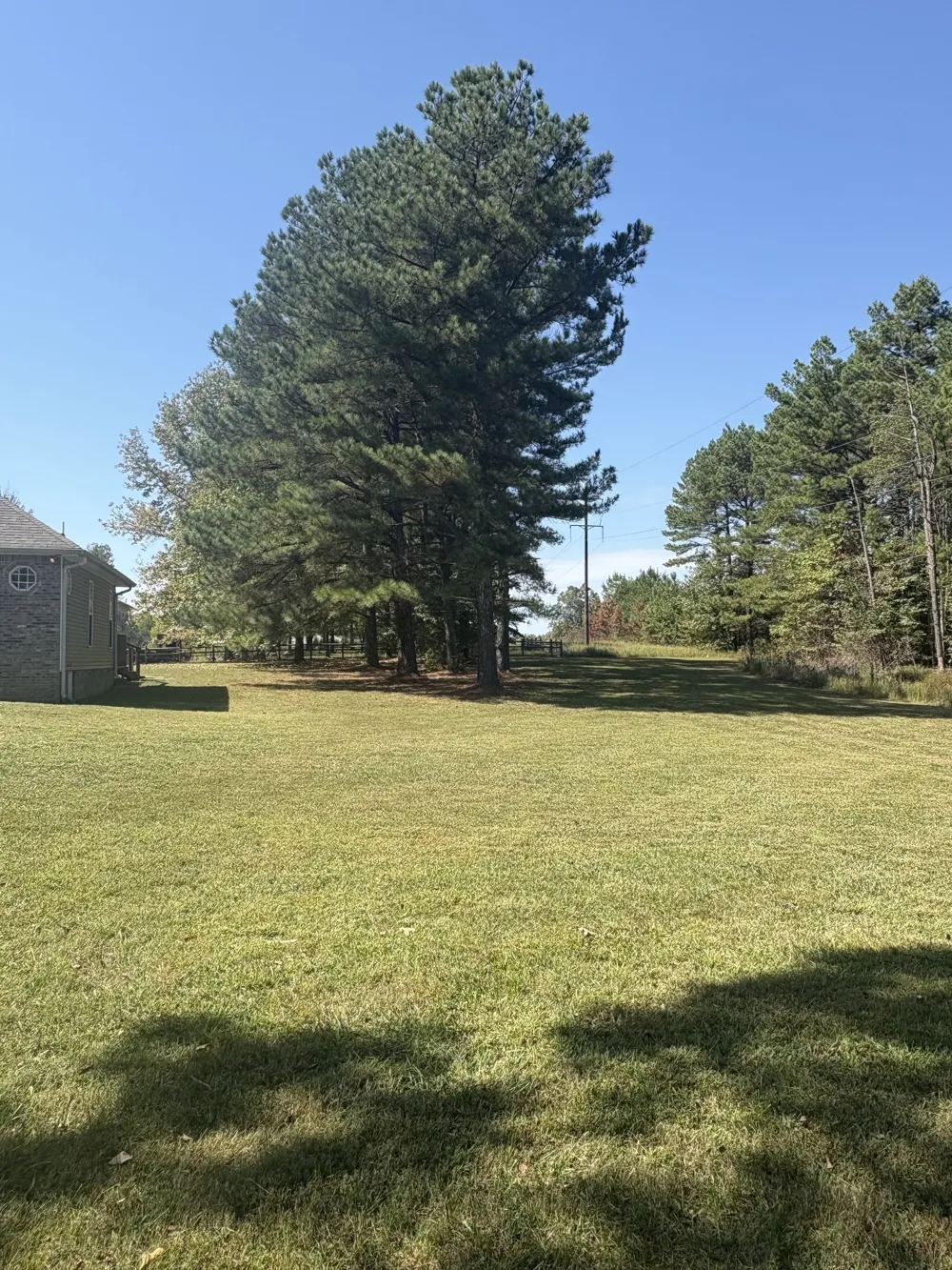 2044 Old Blacktop Road Mc Ewen, TN 37101