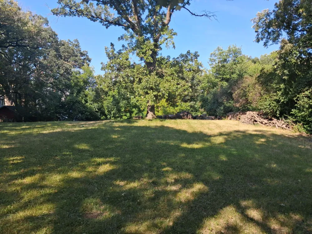 423 Cleveland Avenue Fergus Falls, MN 56537