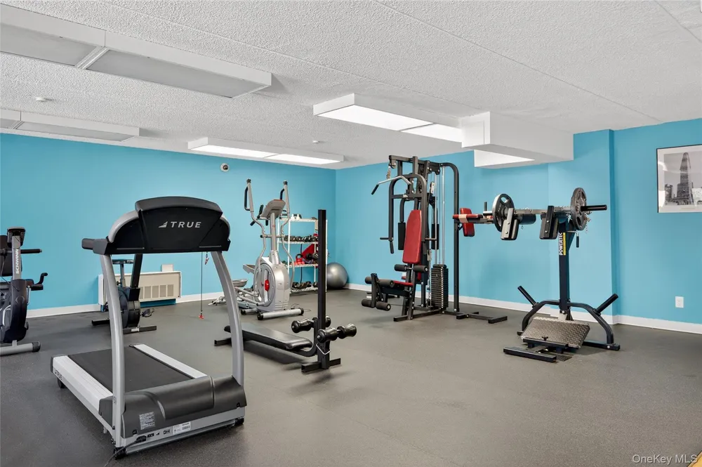175 Maple Avenue #2M Westbury, NY 11590