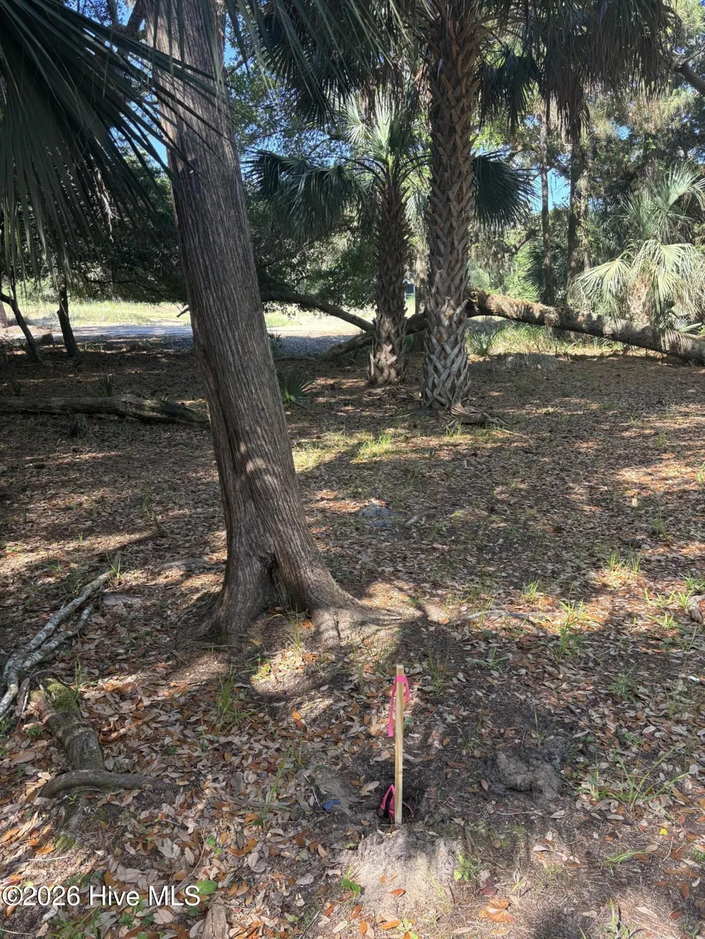 222 Bald Head Bald Head Island, NC 28461
