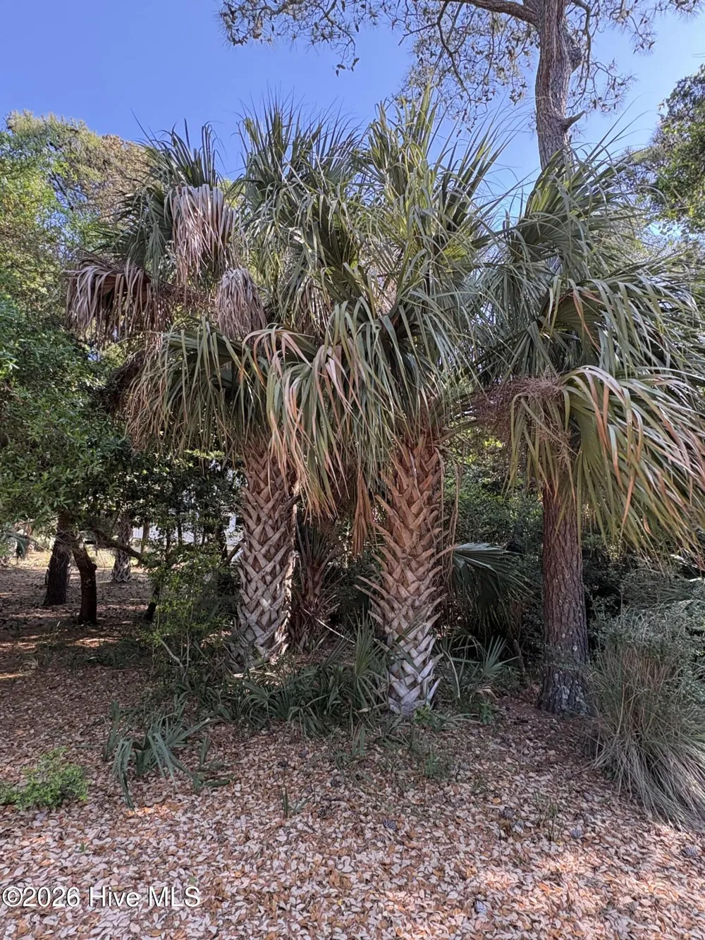 222 Bald Head Bald Head Island, NC 28461
