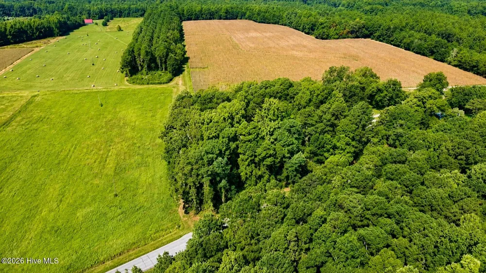 0 Swamp Fox Highway W Cerro Gordo, NC 28430