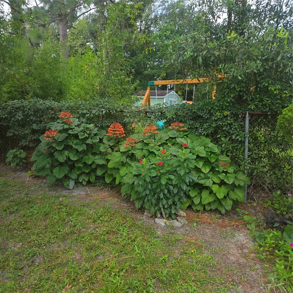 9511 CLYDE STREET Hudson, FL 34669