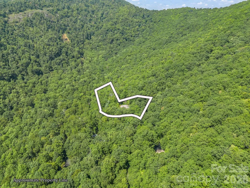 366 Summer Haven Road Swannanoa, NC 28778