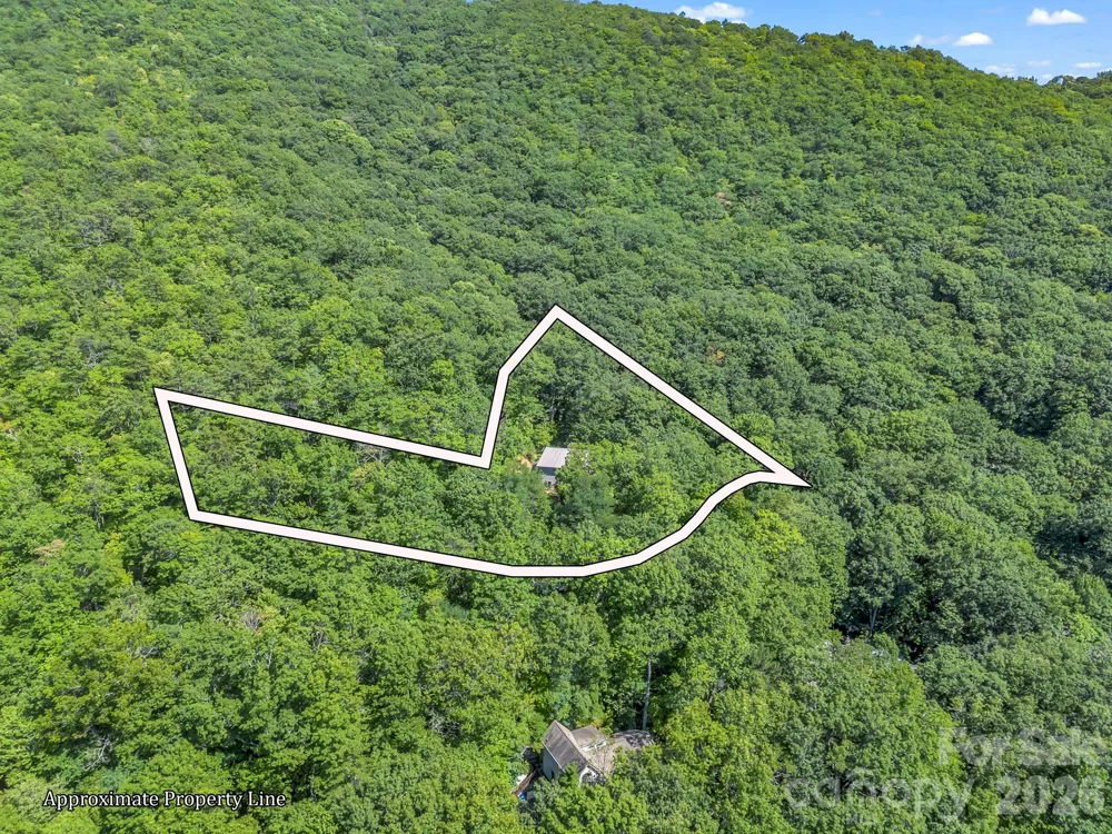 366 Summer Haven Road Swannanoa, NC 28778