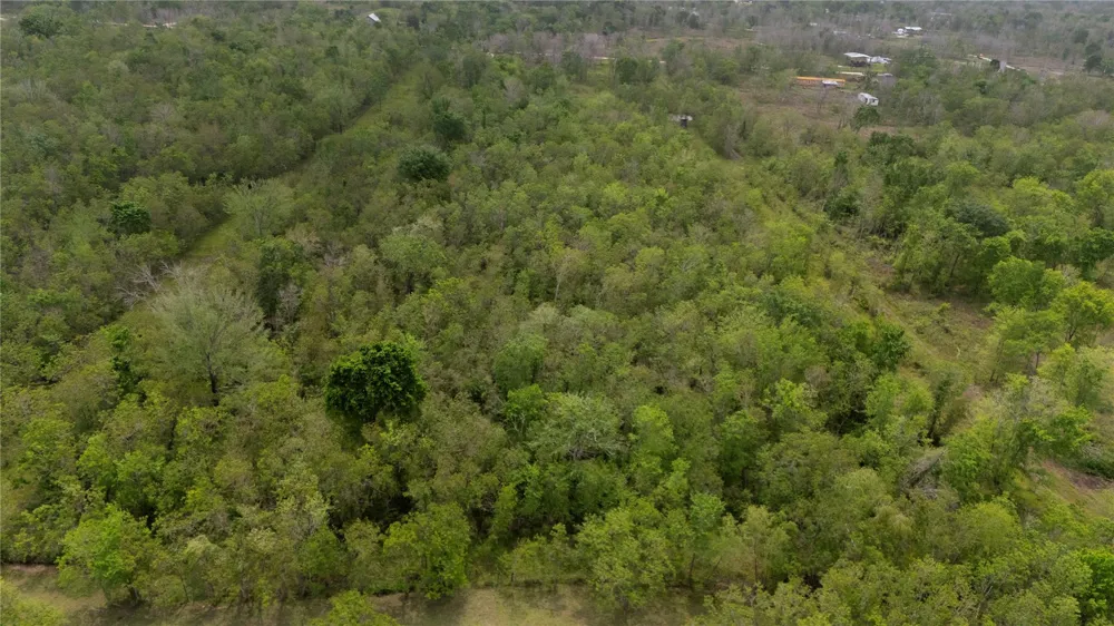 159 Private Road 489 Dayton, TX 77535