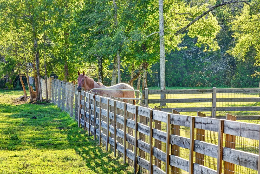 4792 Ollie Chunn Rd Spring Hill, TN 37174