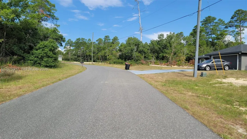 SW 159th Lane Road ocala, FL 34473
