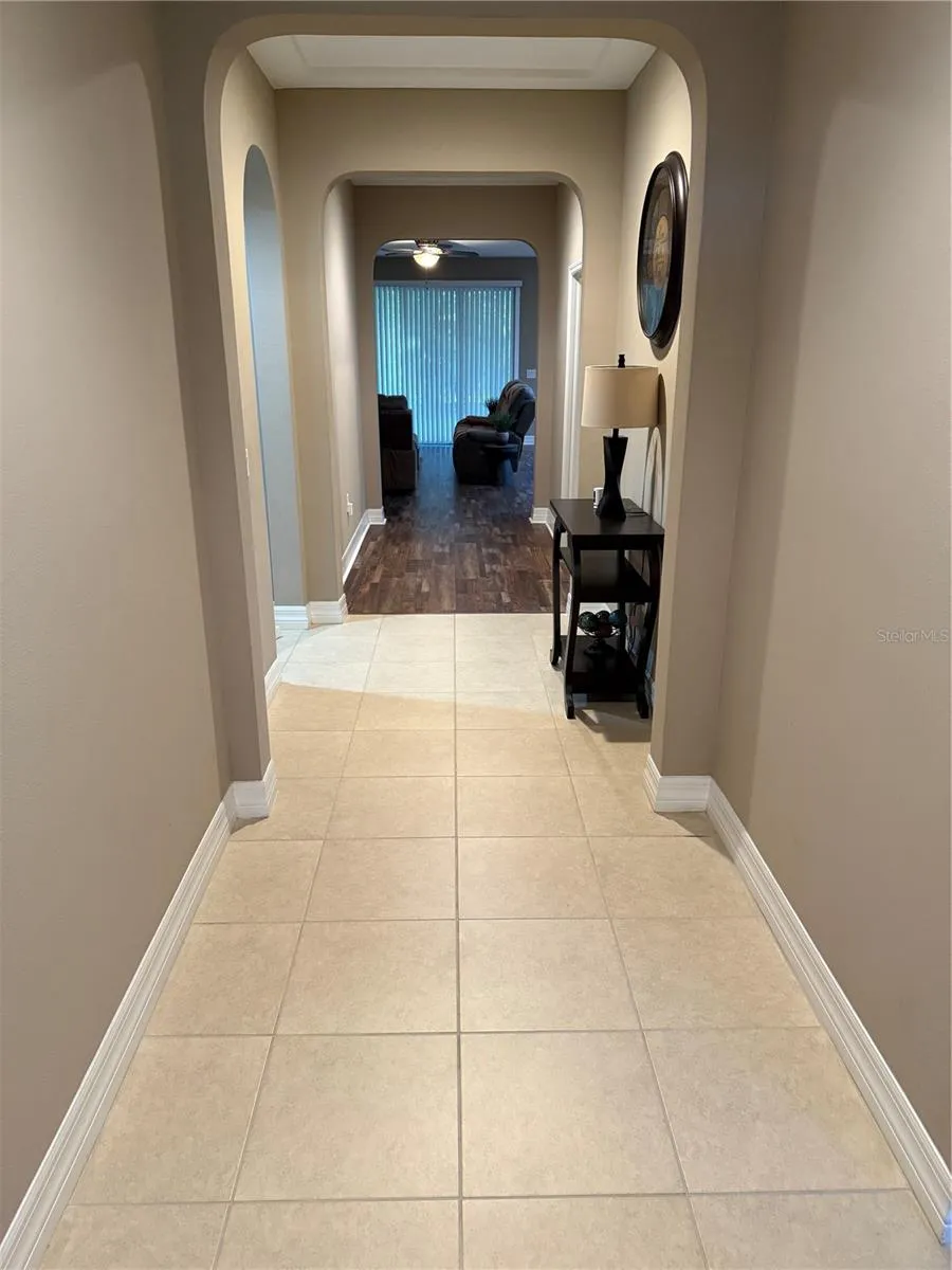 4432 VERMILLION SKY DRIVE Wesley Chapel, FL 33544