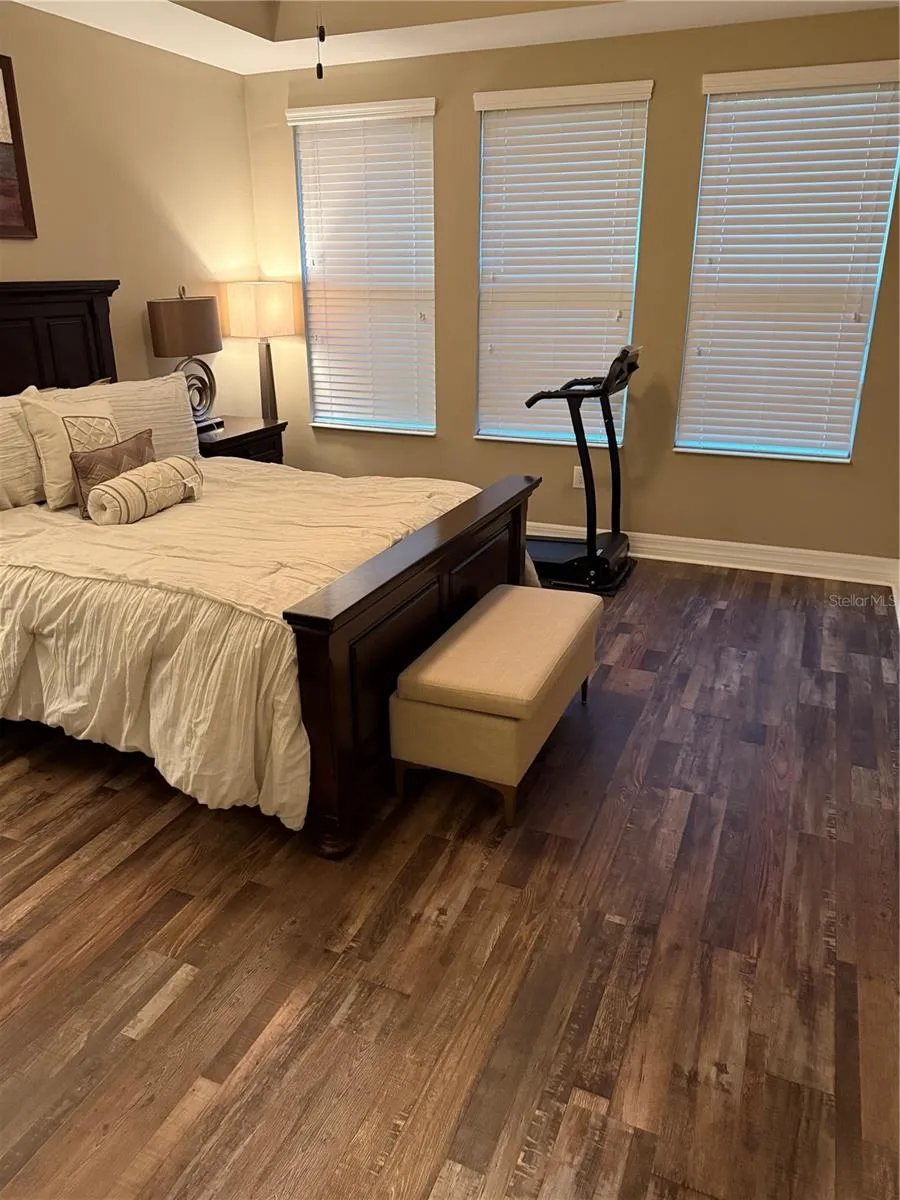 4432 VERMILLION SKY DRIVE Wesley Chapel, FL 33544