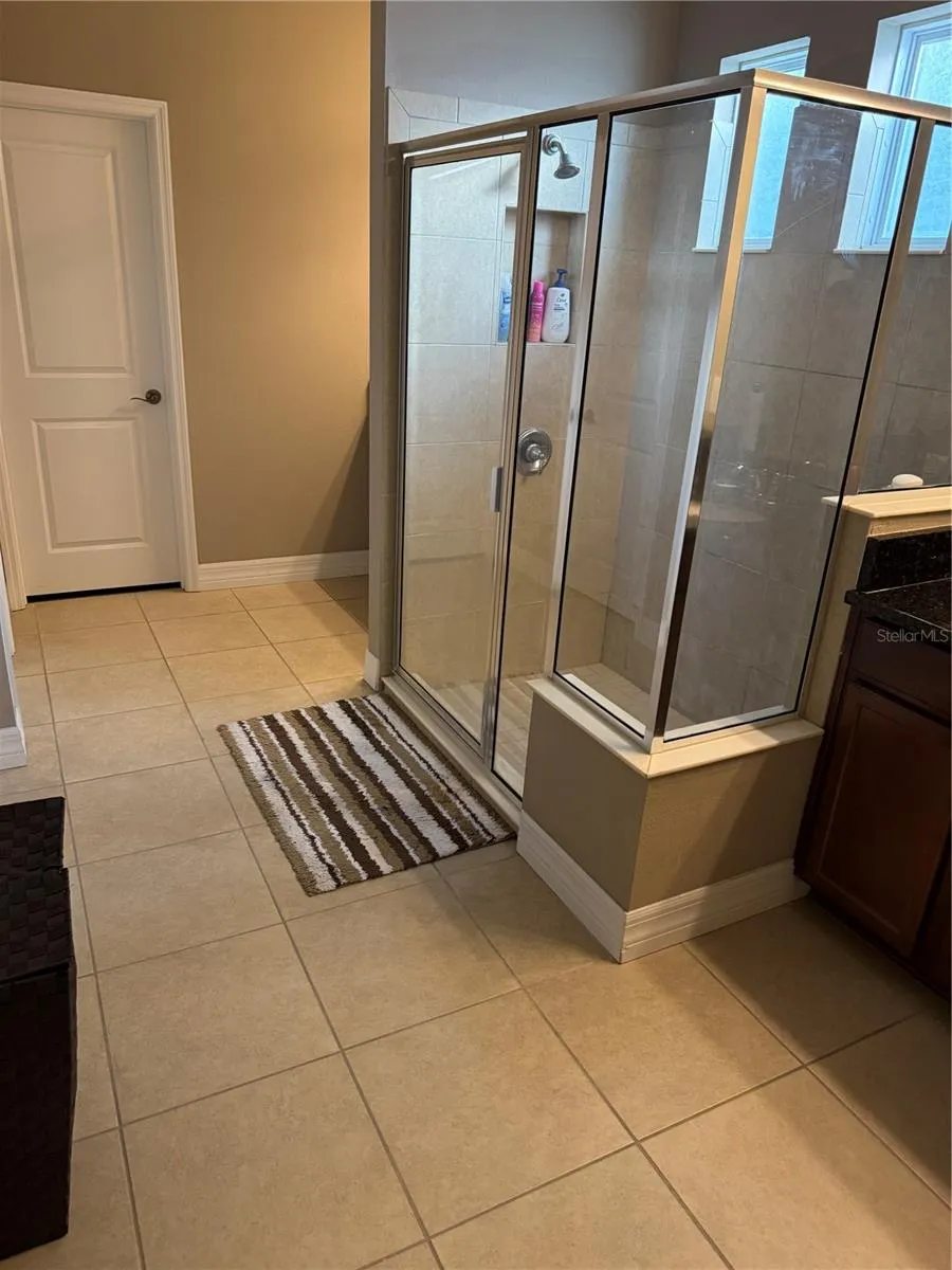 4432 VERMILLION SKY DRIVE Wesley Chapel, FL 33544
