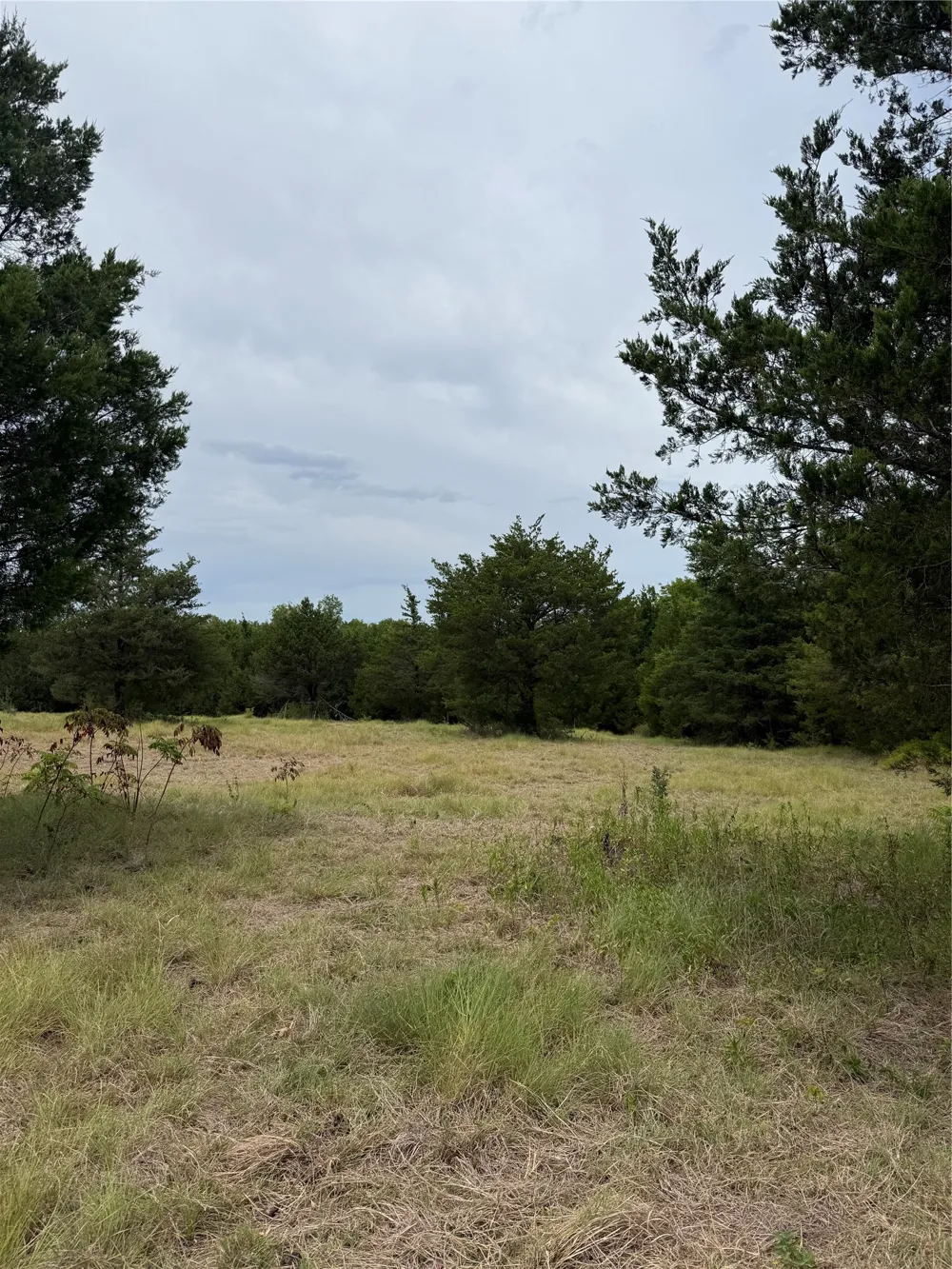 County Road 3040 Bonham, TX 75418