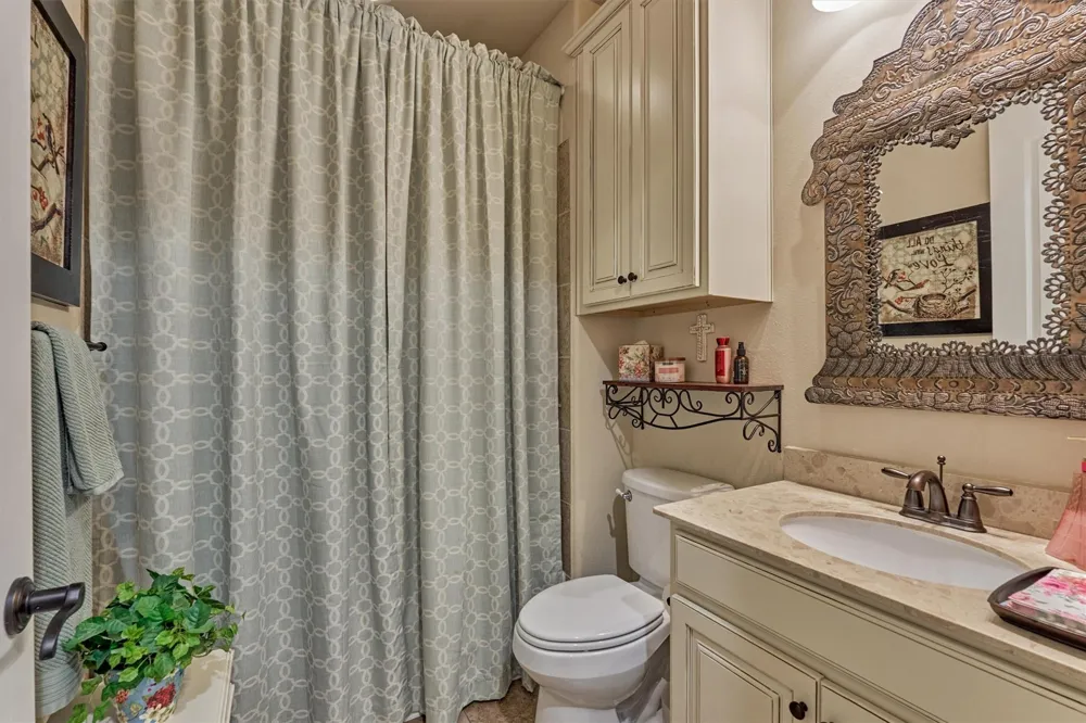 126 Bellardia Court Montgomery, TX 77316