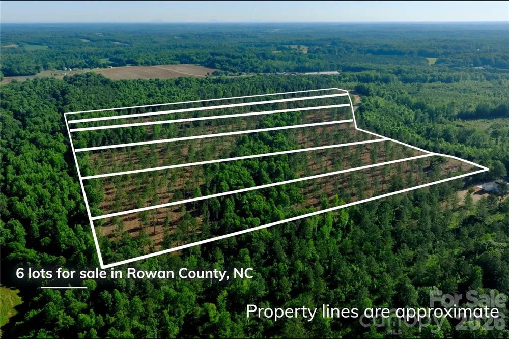 0 Carson Road #1 Cleveland, NC 27013