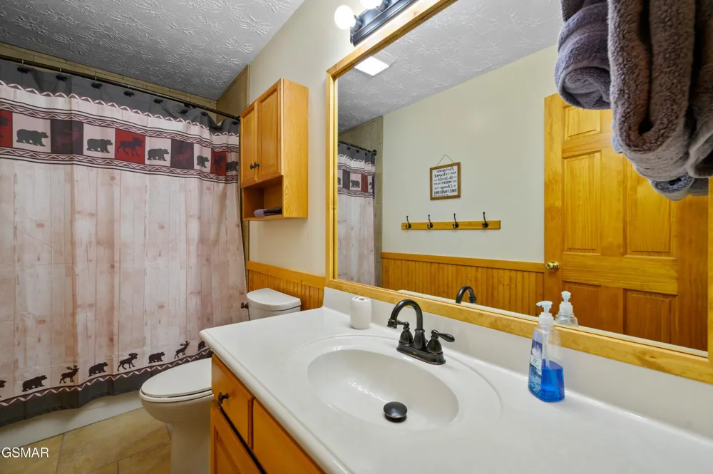3619 Country Pines Way Sevierville, TN 37876