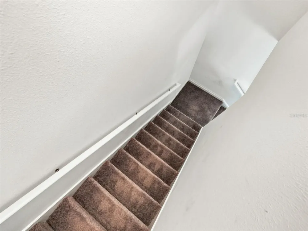 10317 TRUMPET HONEYSUCKLE WAY San Antonio, FL 33576